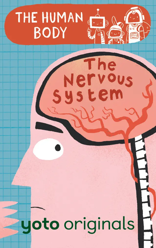 The Human Body: The Nervous System 1