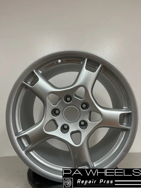 Porsche 911 Carrera 2005-2013 19" Factory Original Rear Wheel Rim 1