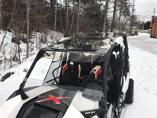 Toit Teinté / Tinted Roof, Commander Max Maverick Max 1