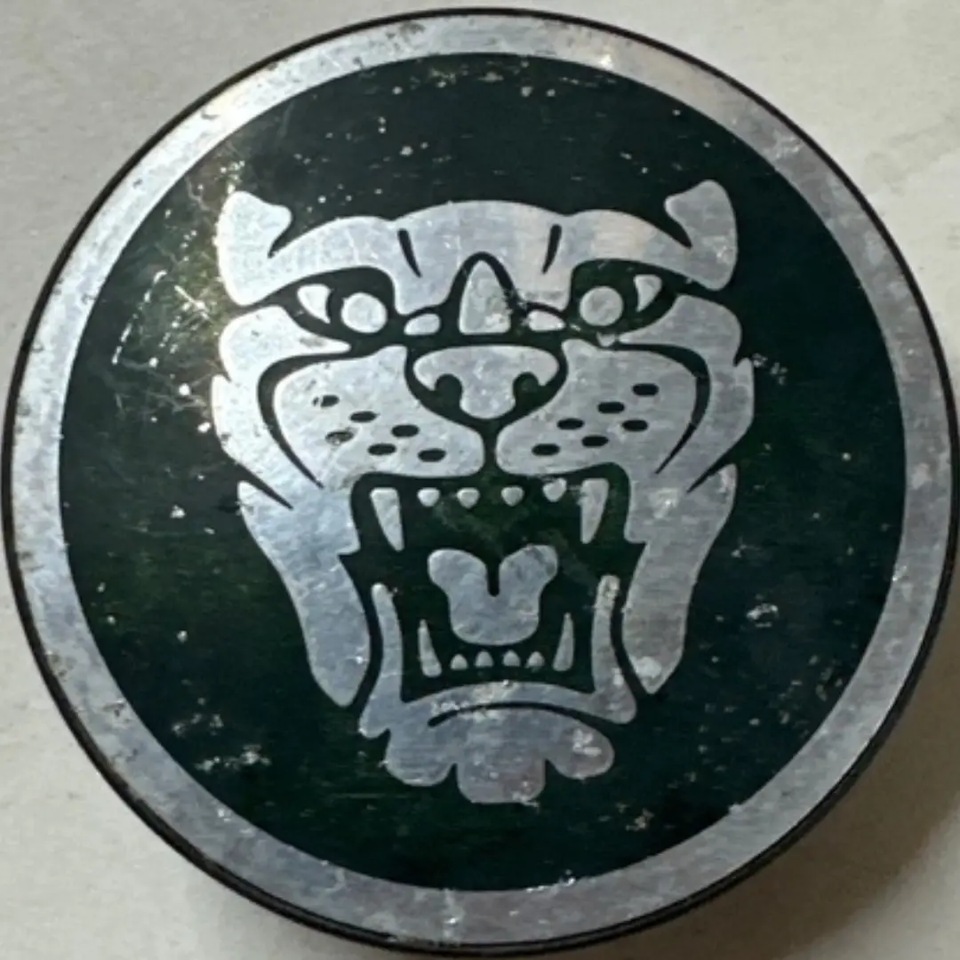 Jaguar Green Wheel Center  58Mm C6397e25 1