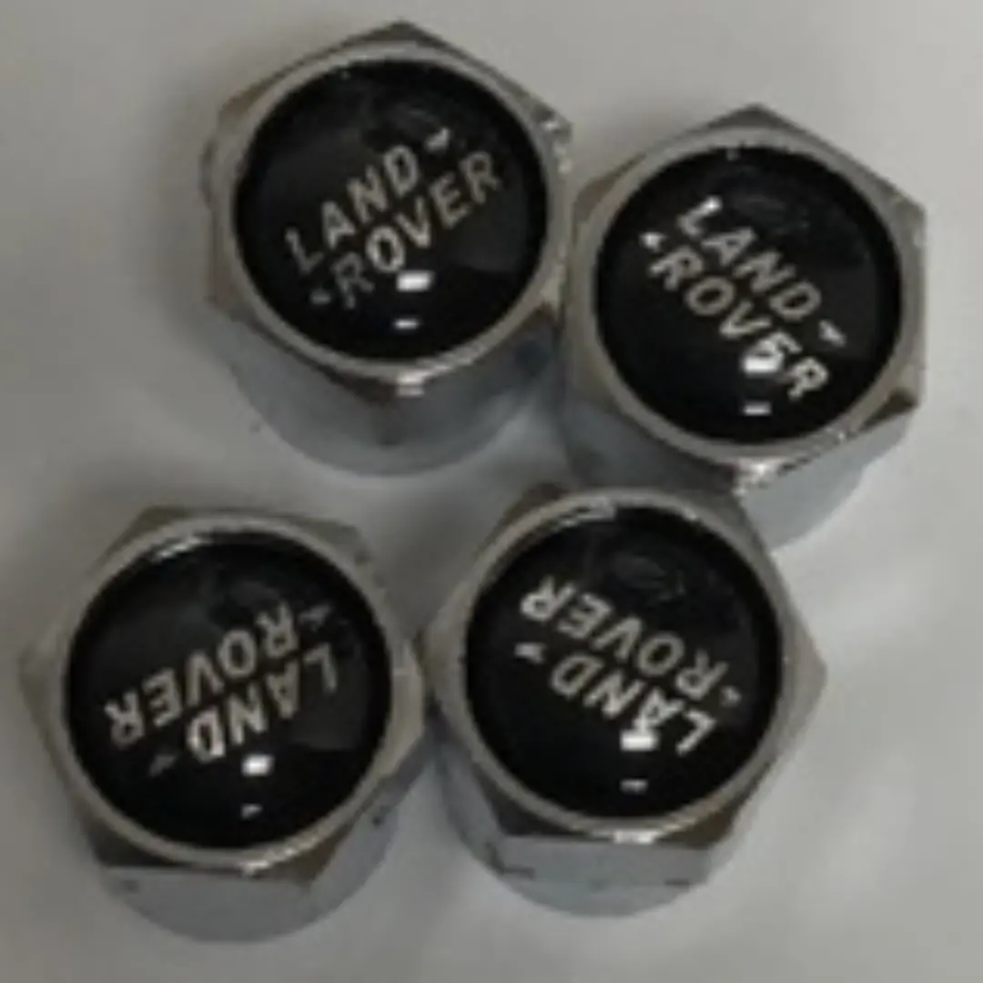 Set Of 4 Universal Land Rover Silver Wheel Stem Air Valve Caps 941258F0sil 1