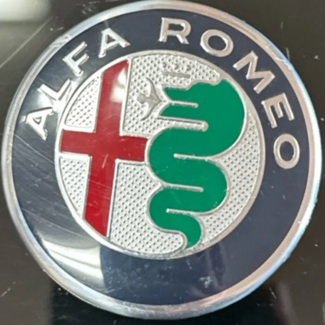 Alfa Romeo Wheel Hub Center Cap 60Mm E5542b34 1