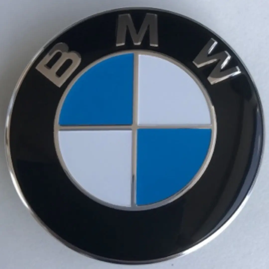 Bmw Oem Wheel Hub Center Cap 6850834 73894Edb 1