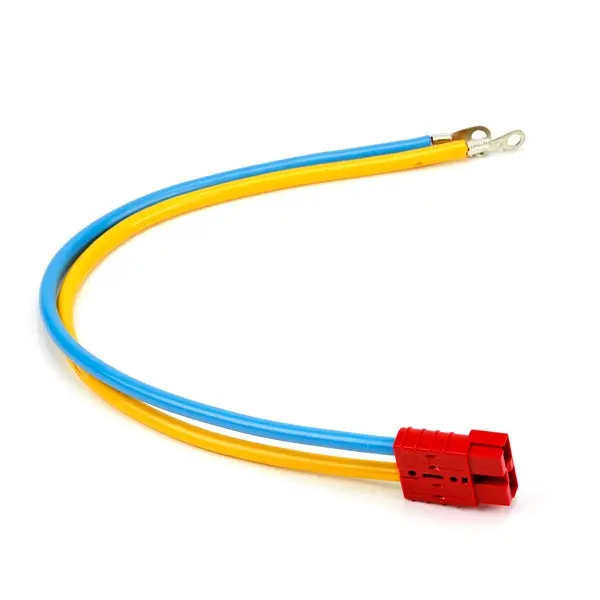 Cable Alimentation Multi Warn 1