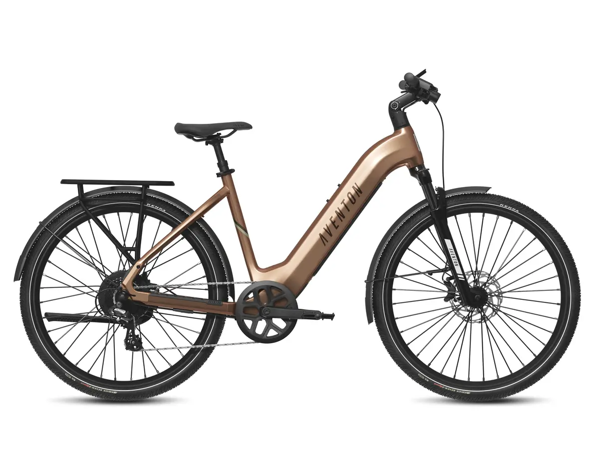 Aventon Level 3 Step Through Electric Bike 1