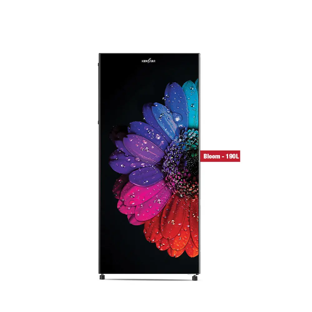Bloom 190L, Direct Cool Refrigerator 1