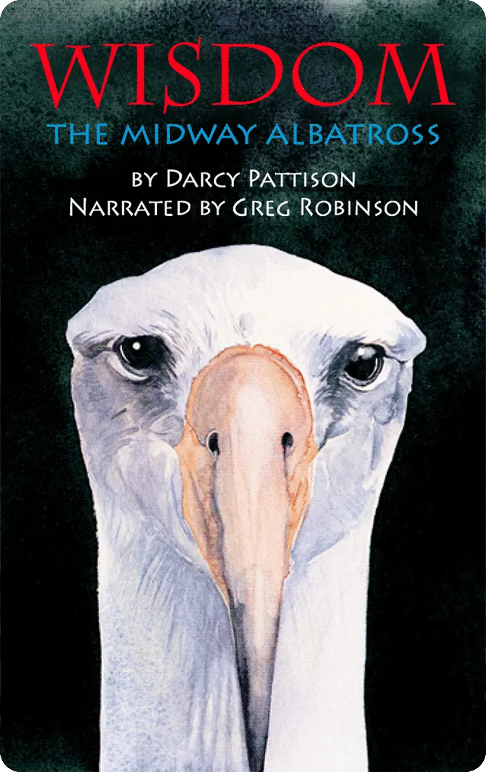 Wisdom, The Midway Albatross: Surviving The Japanese Tsunami And Other Disasters For Over 60 Years (Digital) 1