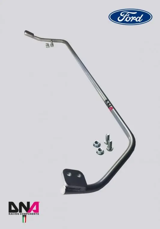 Dna Racing Rear Torsion Bar Spring Steel 22Mm Kit 2014-2019 Fiesta St 1