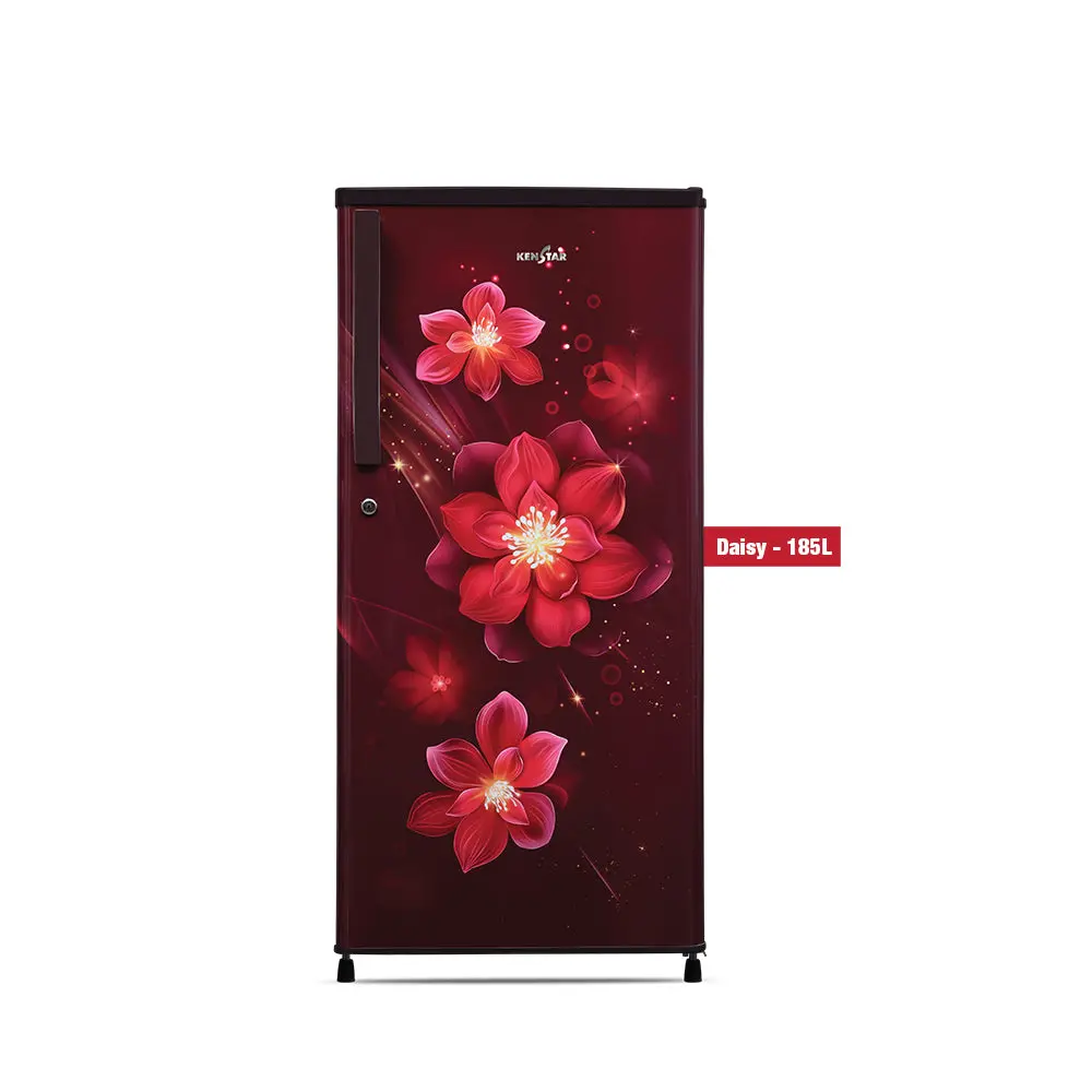 Daisy 185L, Direct Cool Refrigerator 1