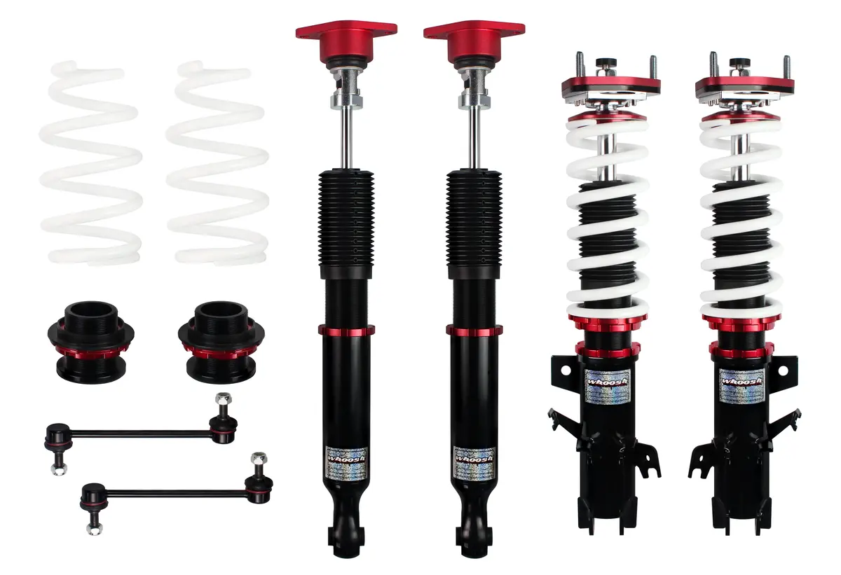 Whoosh Motorsports Performance Coilover Suspension Kit 2014-2019 Fiesta St 1