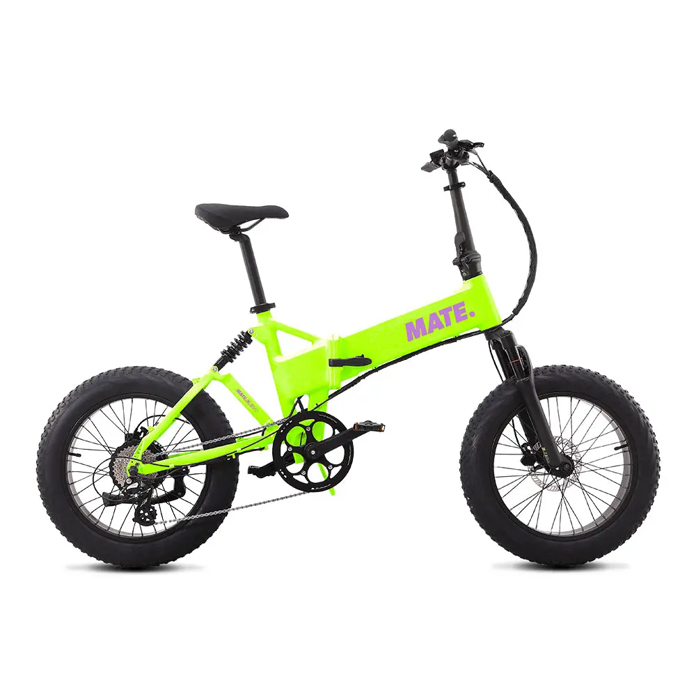 Mate X Evo Folding Electric Bike 1