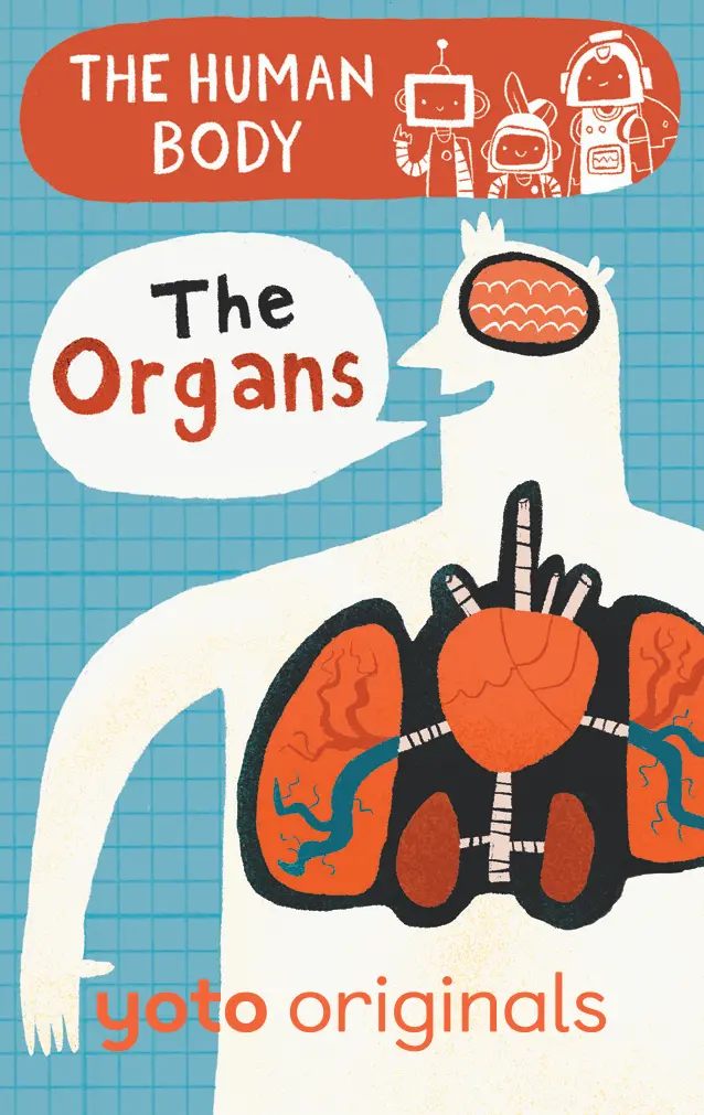 The Human Body: The Organs 1