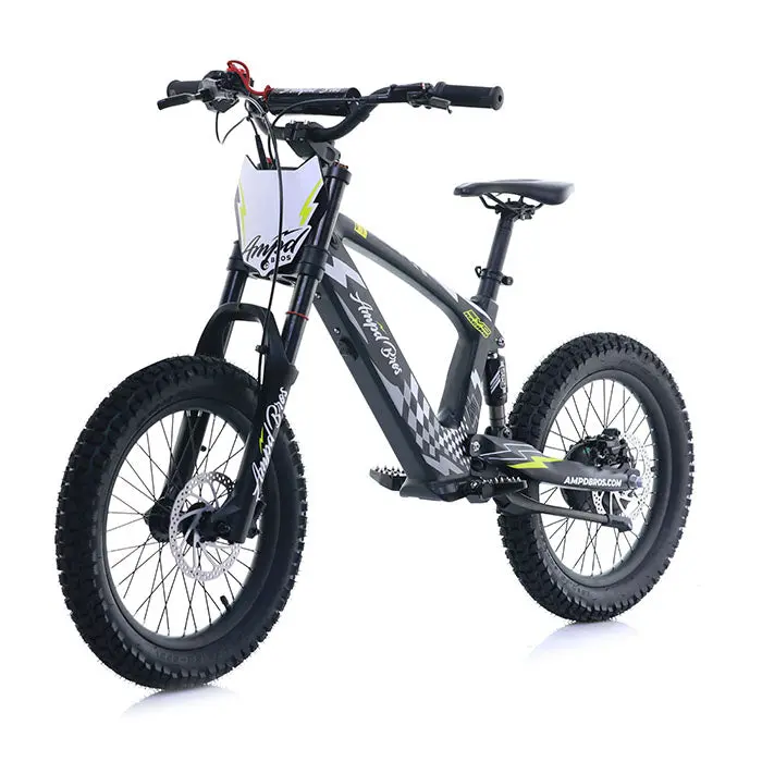 Ampd Brothers Evo Racing 18" Electric Bike 1
