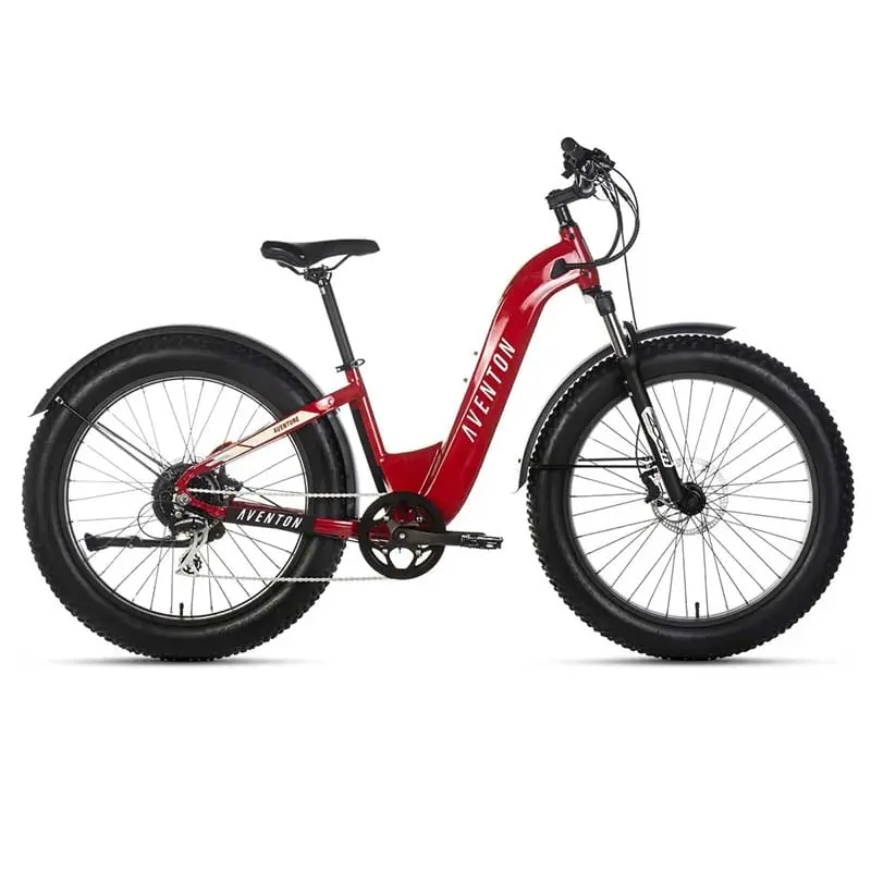 Aventon Aventure Step Through Electric Bike 1