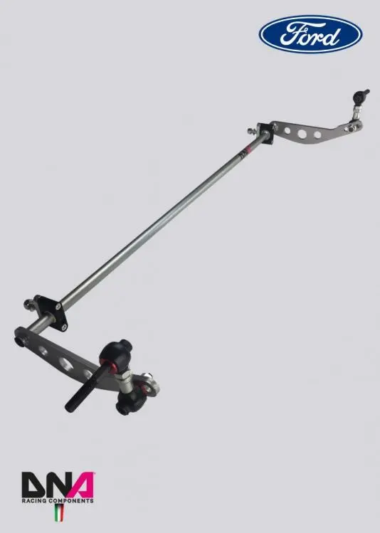 Dna Racing Rear Adjustable Torsion Bar Ø 20X3mm Kit 2014-2019 Fiesta St 1