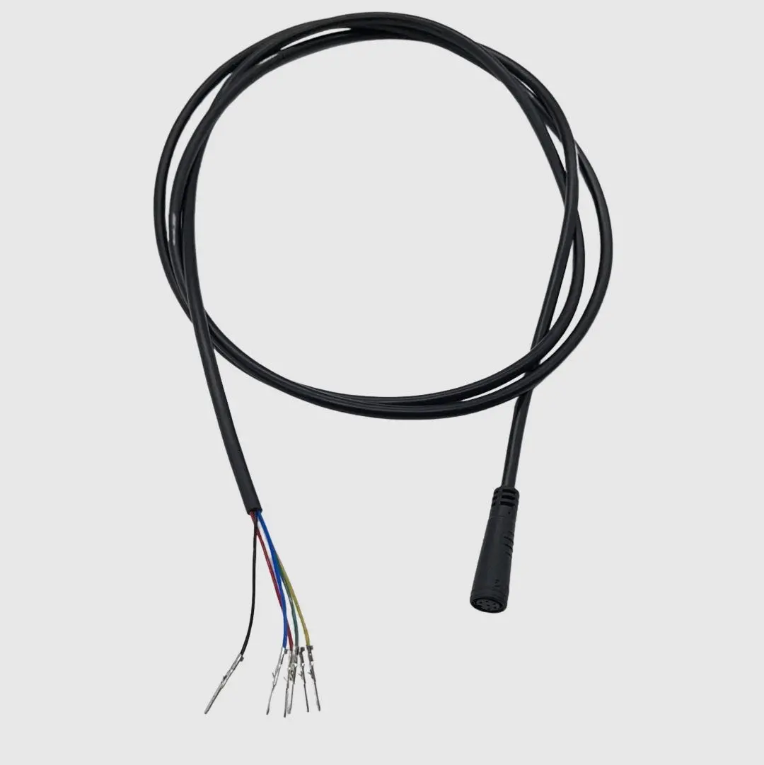 Explore Main Cable 1