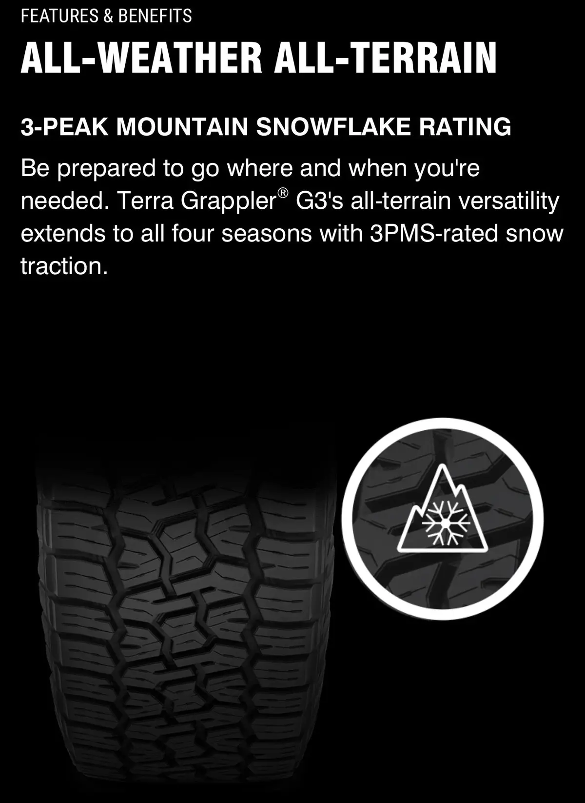Lt 315/70R17 | Nitto Terra Grappler G3w 3Pms 10Pr 2