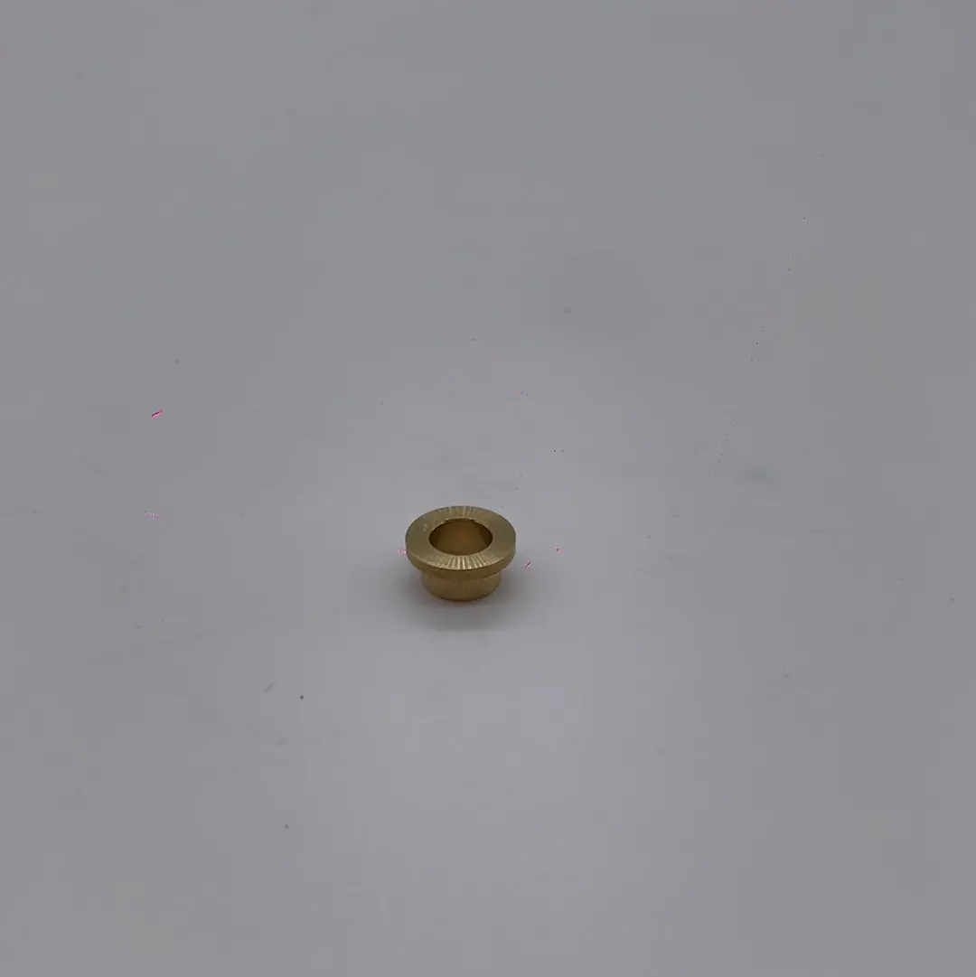 Mosquito Rear Fork Bushing 1