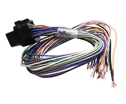 B Loom Short (0Lb) 1