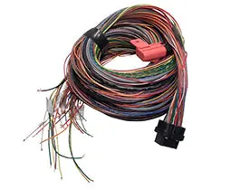 A Loom Long (5La) 1