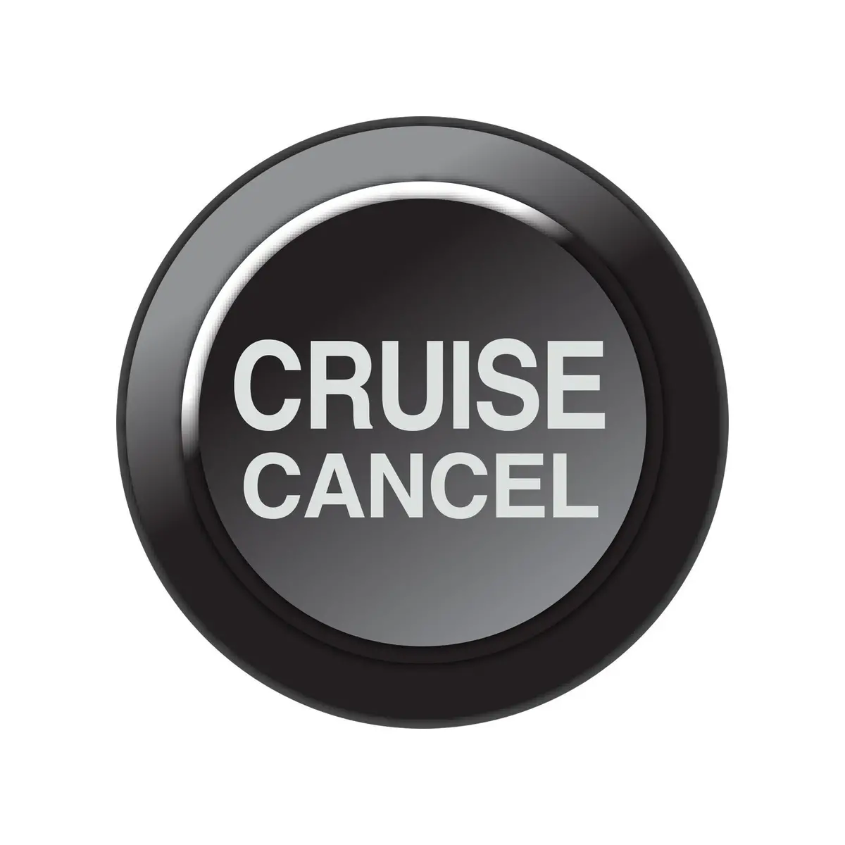 Can Keypad Insert - Cruise Cancel 1
