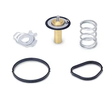 Mishimoto 2014+ Ford Fiesta St Racing Thermostat 1
