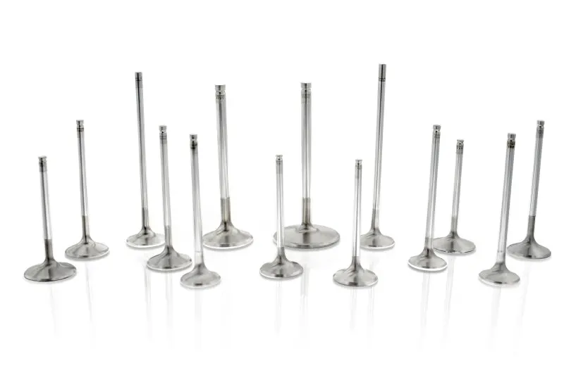 Ferrea 6000 Series Exhaust Valves – Honda F20C, 31Mm Stem, 109Mm Length, 24° Seat Angle (Set Of 8) 1