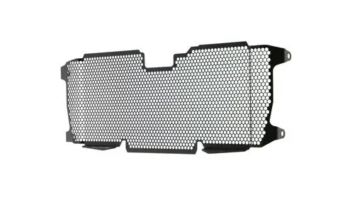 Evotech Radiator Guard – Cnc-Laser-Cut Aluminum Protection For 2015–2024 Bmw R1250R And R1250Rs 1