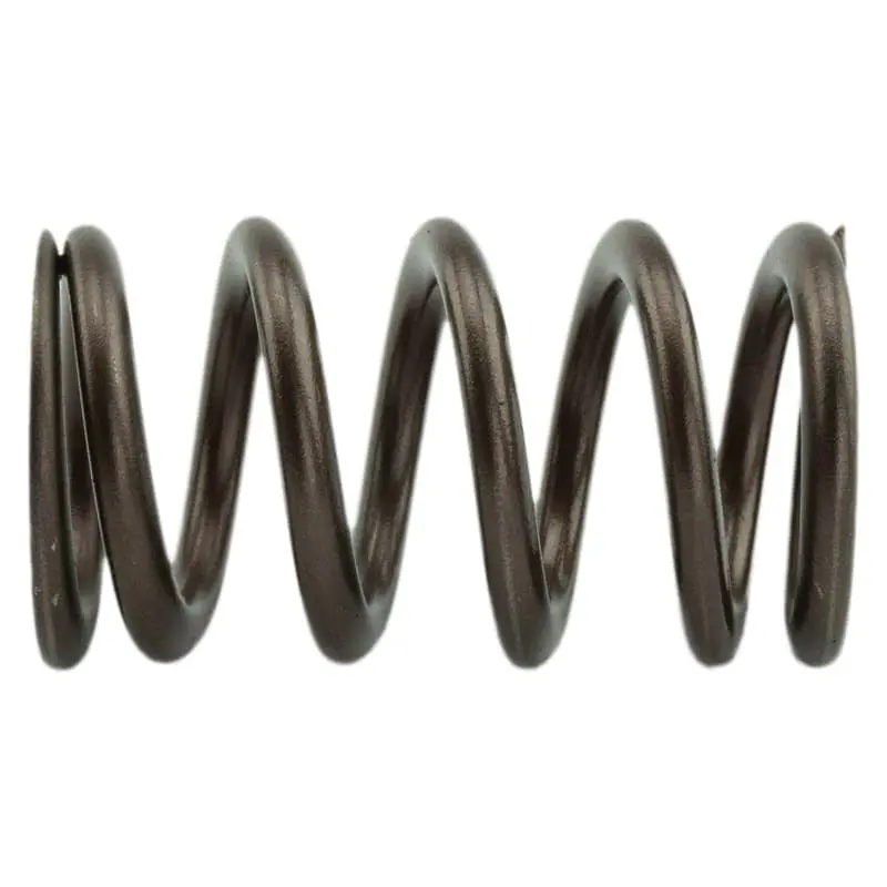 Industrial Injection Heavy-Duty Single Valve Spring Set — 110 Lbs Load Capacity 1